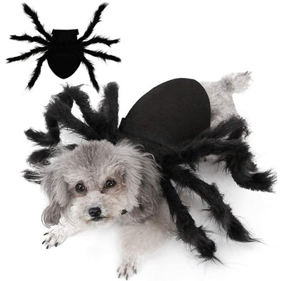 Spider Costume