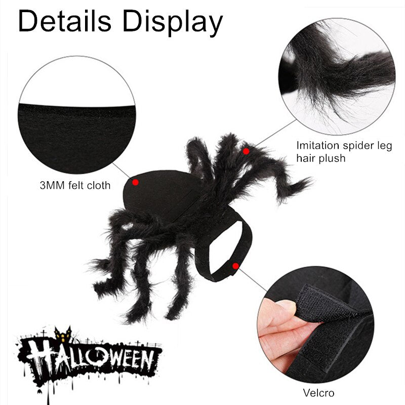 Spider Costume